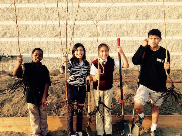 In South L.A., a Growing Interest in Urban Gardening