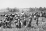 The Communal, Sometimes Celibate, 19th-Century Ohio Town that Thrived for Three Generations | Zocalo Public Square • Arizona State University • Smithsonian