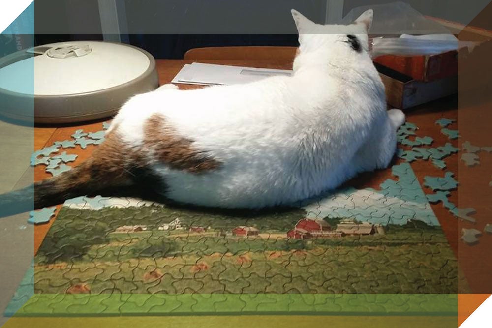 Where I Go: Jigsaw Puzzles | Zocalo Public Square • Arizona State University • Smithsonian