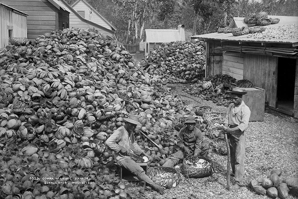 Two men sitting, one on stool, and man to right standing is holding a thick stick. The men sitting have weaved baskets at their feet. Surrounded to left by large piles of coconut husks and shells that are split. Background of colonial buildings and behind tropical foliage including palm trees